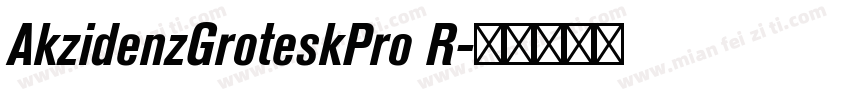 AkzidenzGroteskPro R字体转换